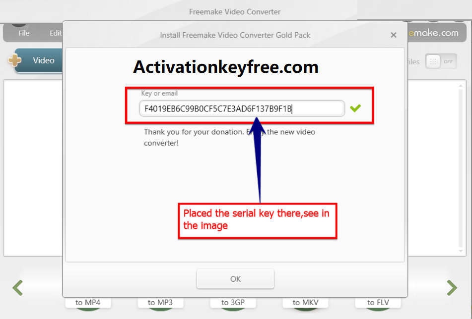 instal the last version for ipod Freemake Video Converter 4.1.13.158